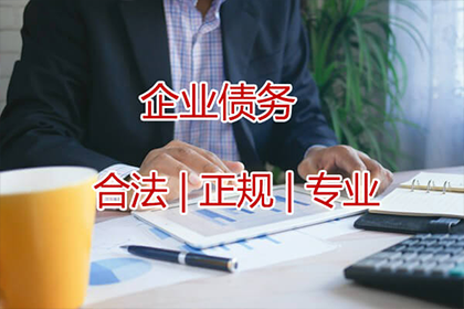 宁津要款公司